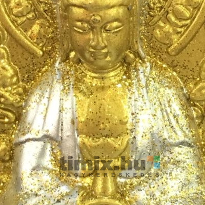 Buddha TS012